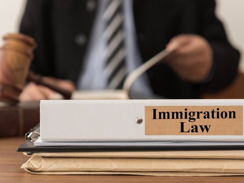 Why Should You Hire an Immigration Lawyer?